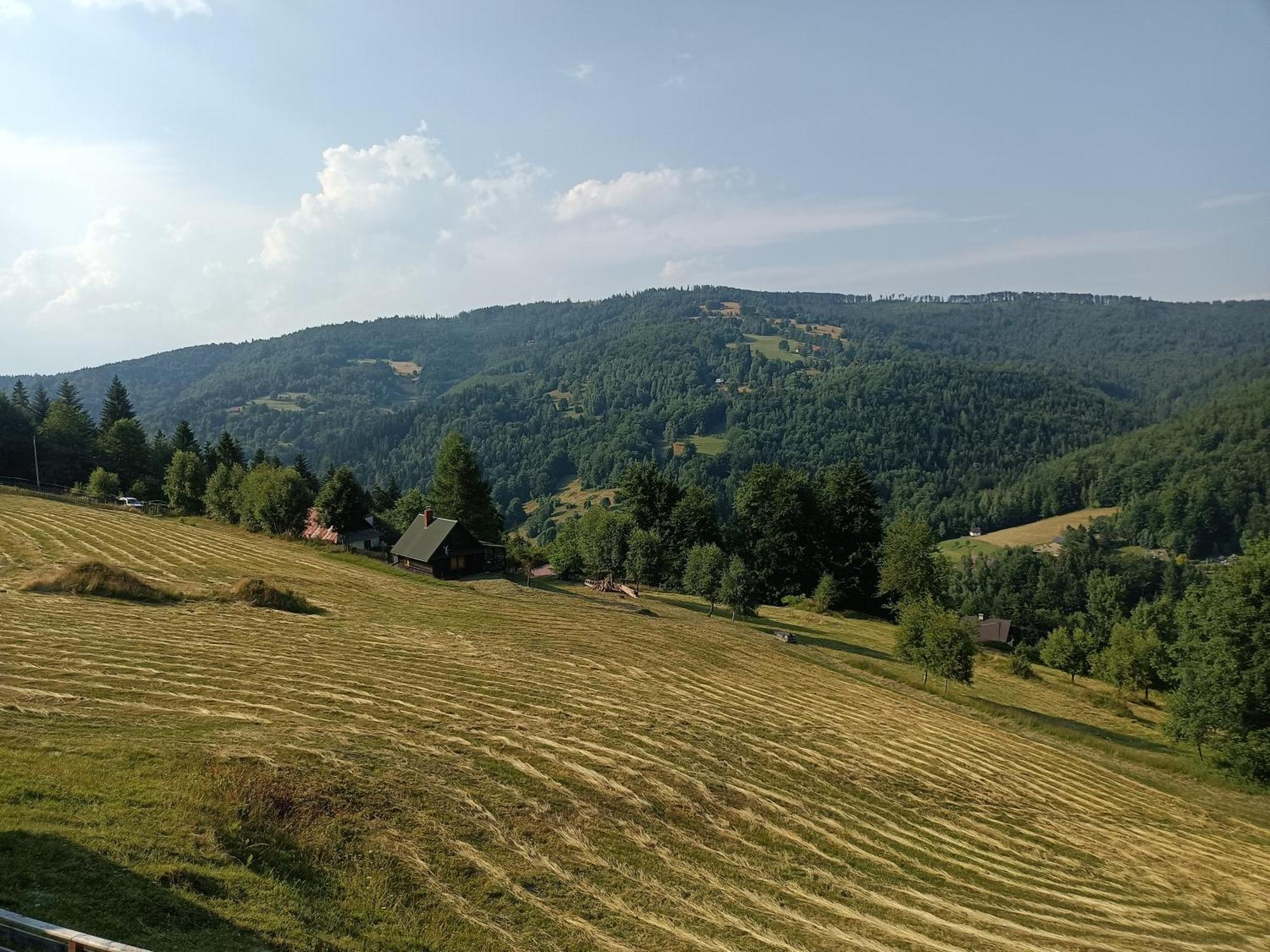 Przystanek Bystra *
