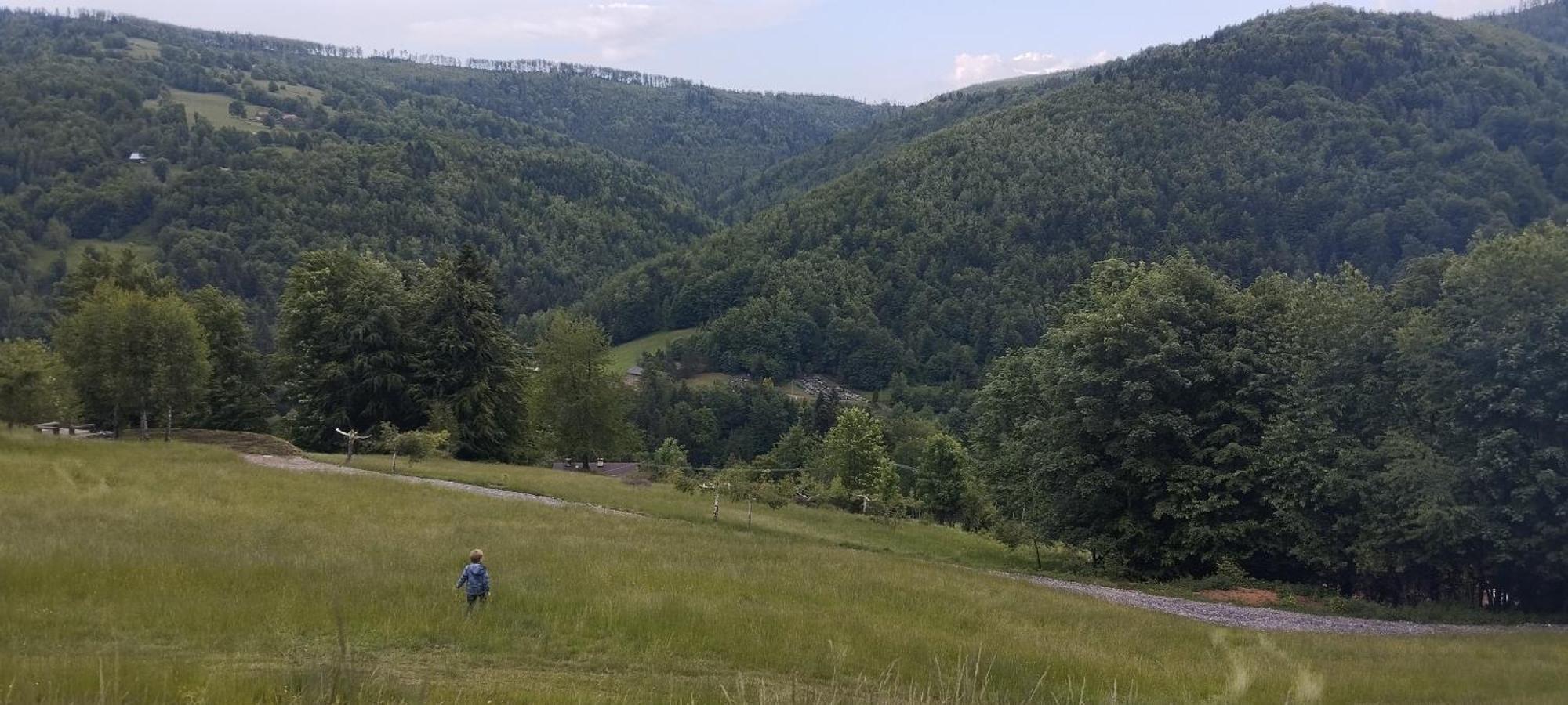 Przystanek Bystra * Przyborow (Silesia)